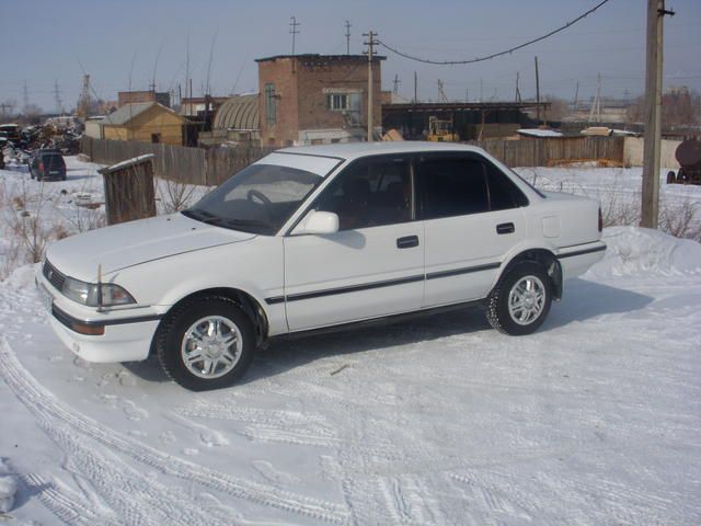 1988 Toyota Corolla