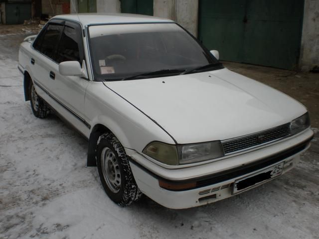 1988 Toyota Corolla