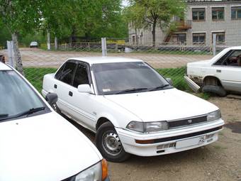 1989 Toyota Corolla