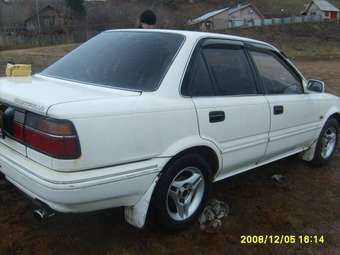 Corolla