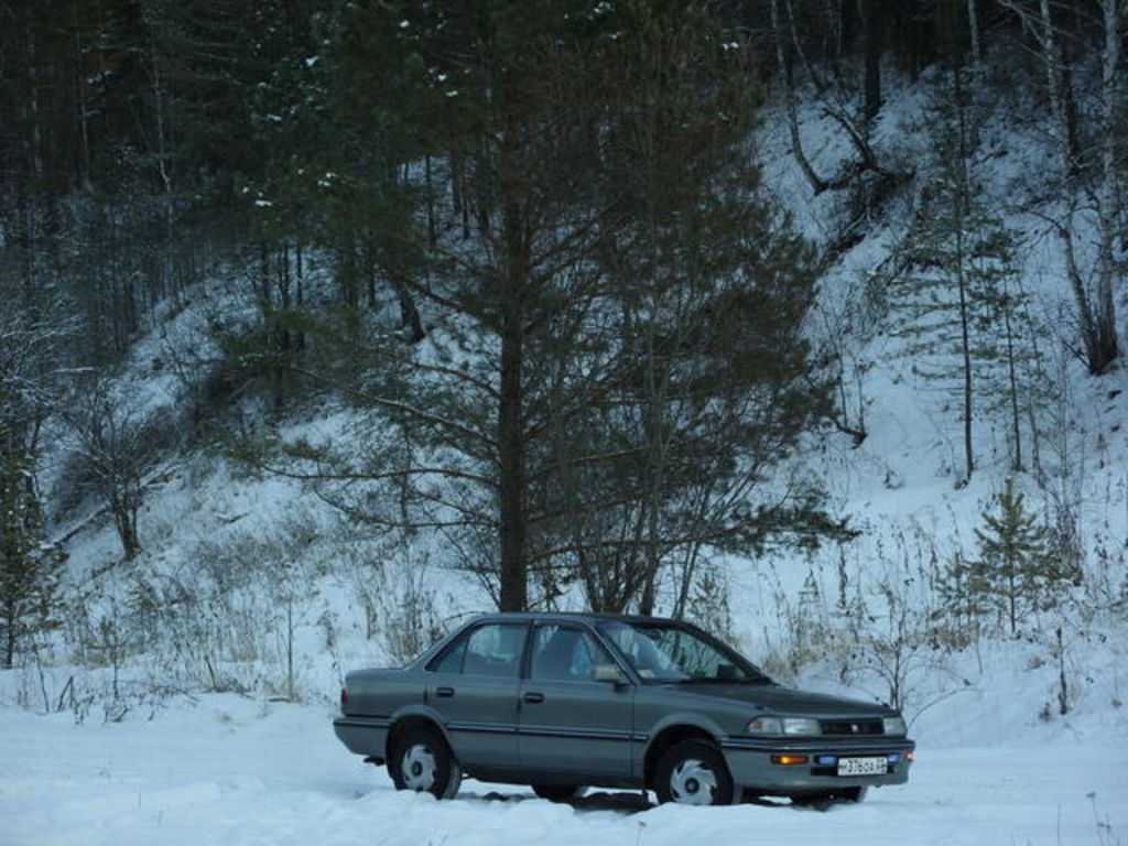 1989 Toyota Corolla