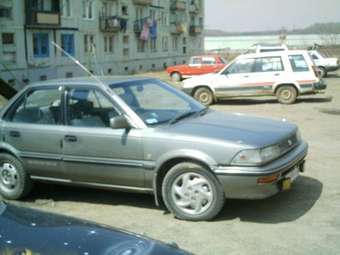 1989 Toyota Corolla