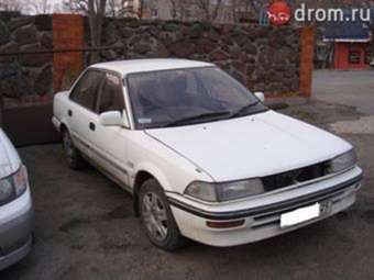 1989 Toyota Corolla