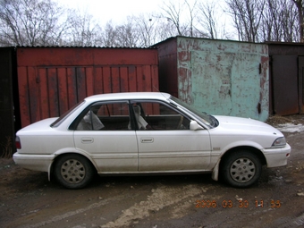 Corolla