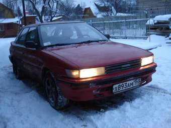 Corolla