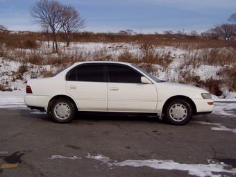 1991 Toyota Corolla