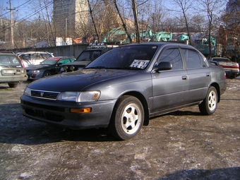 Corolla
