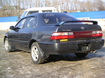 1991 Corolla