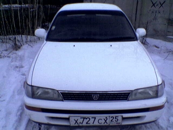 Corolla
