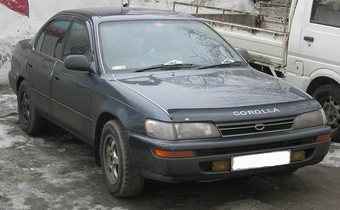 Corolla