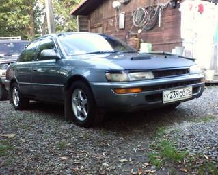 Corolla