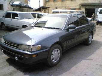 1991 Toyota Corolla