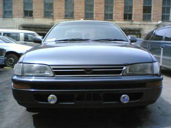 Corolla