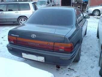 Corolla