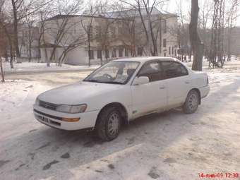 1991 Toyota Corolla