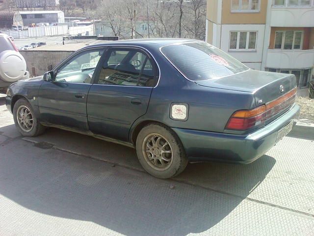 1991 Toyota Corolla