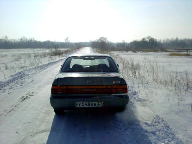 1991 Toyota Corolla