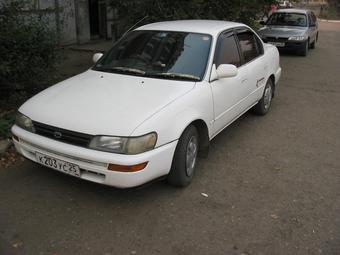 1991 Toyota Corolla