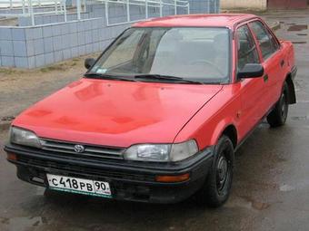 1991 Toyota Corolla Pics