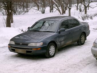 1992 Toyota Corolla