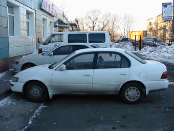 1992 Toyota Corolla