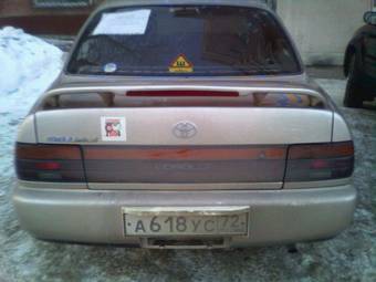 Corolla