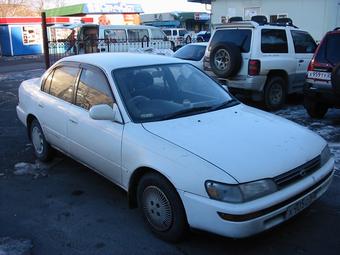 1992 Toyota Corolla