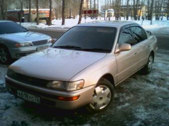 1992 Toyota Corolla