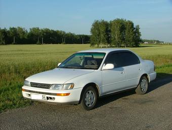 1992 Toyota Corolla