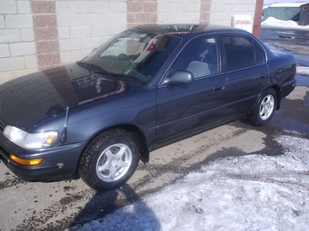 1992 Toyota Corolla