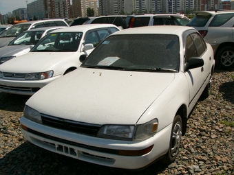 1992 Toyota Corolla