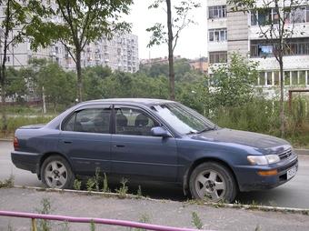1992 Toyota Corolla
