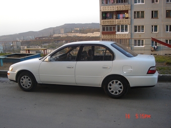 1992 Toyota Corolla