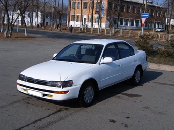 1992 Toyota Corolla