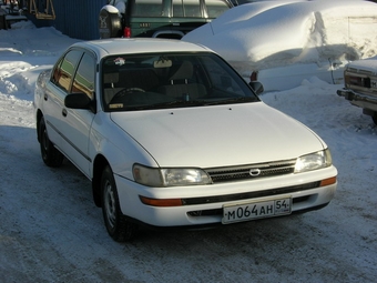 1992 Toyota Corolla