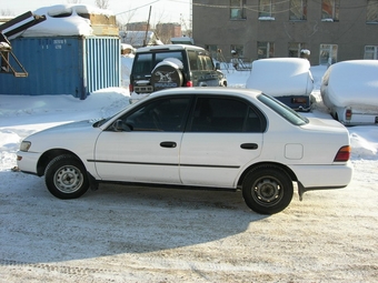 1992 Corolla