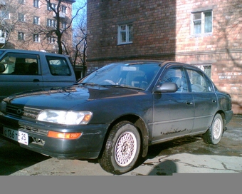 1992 Toyota Corolla