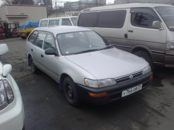 1992 Toyota Corolla