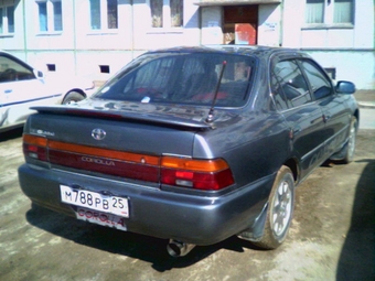Corolla