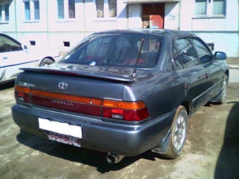 Corolla