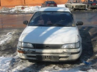 Corolla