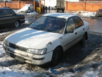 1992 Corolla