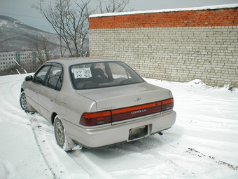 Corolla