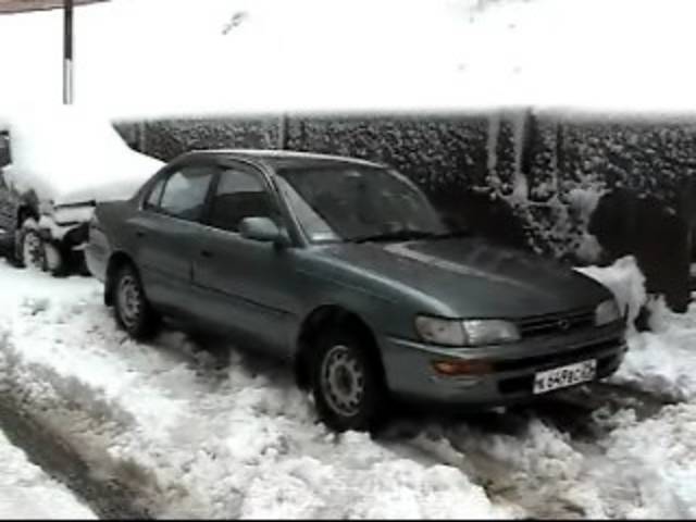 1992 Toyota Corolla