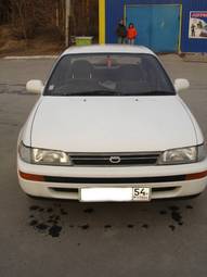 Corolla