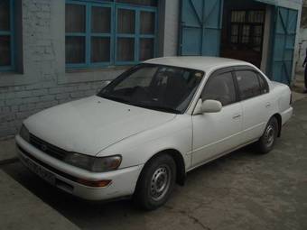 1992 Toyota Corolla