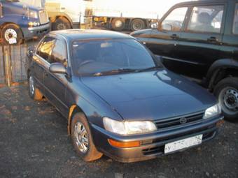 1992 Corolla
