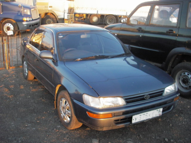 1992 Toyota Corolla