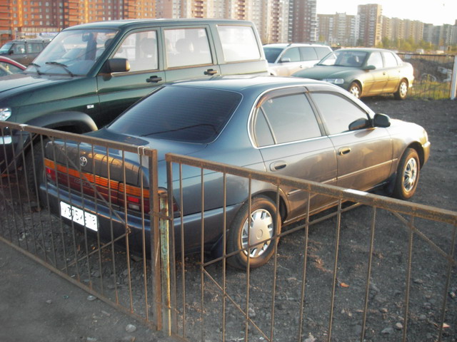 1992 Toyota Corolla