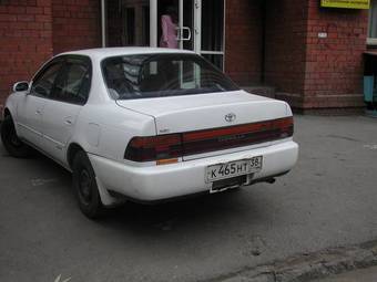 Corolla